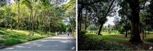 Parques em São Paulo