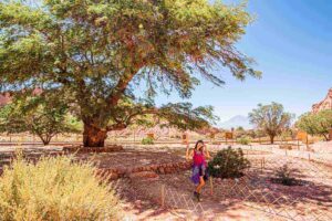 O que fazer no Deserto do Atacama